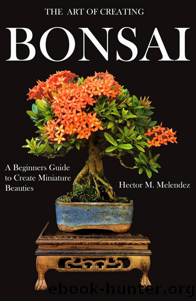 The Art of Creating Bonsai: A Beginners Guide to Create Miniature Beauties by Melendez Hector M