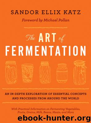 The Art of Fermentation: An In-Depth Exploration of Essential Concepts and Processes from Around the World by Katz Sandor Ellix