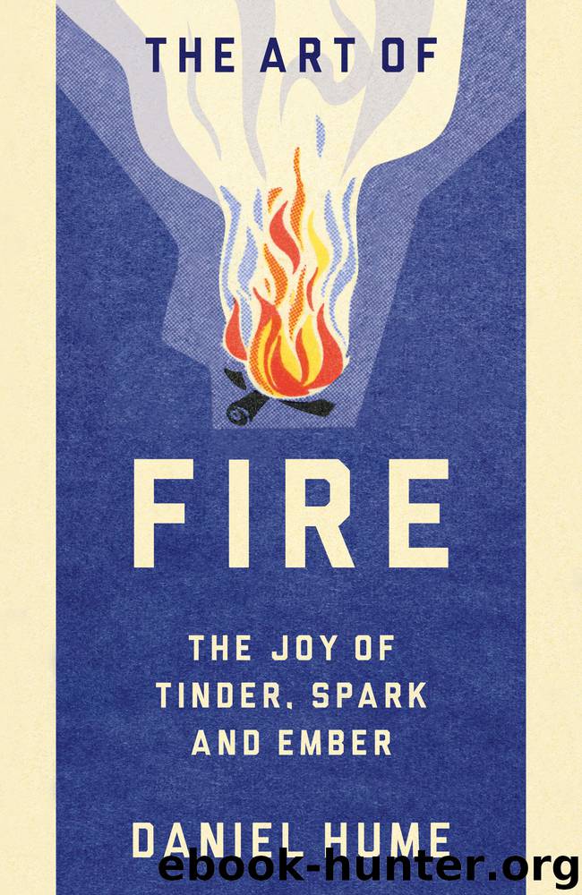 The Art of Fire by Daniel Hume