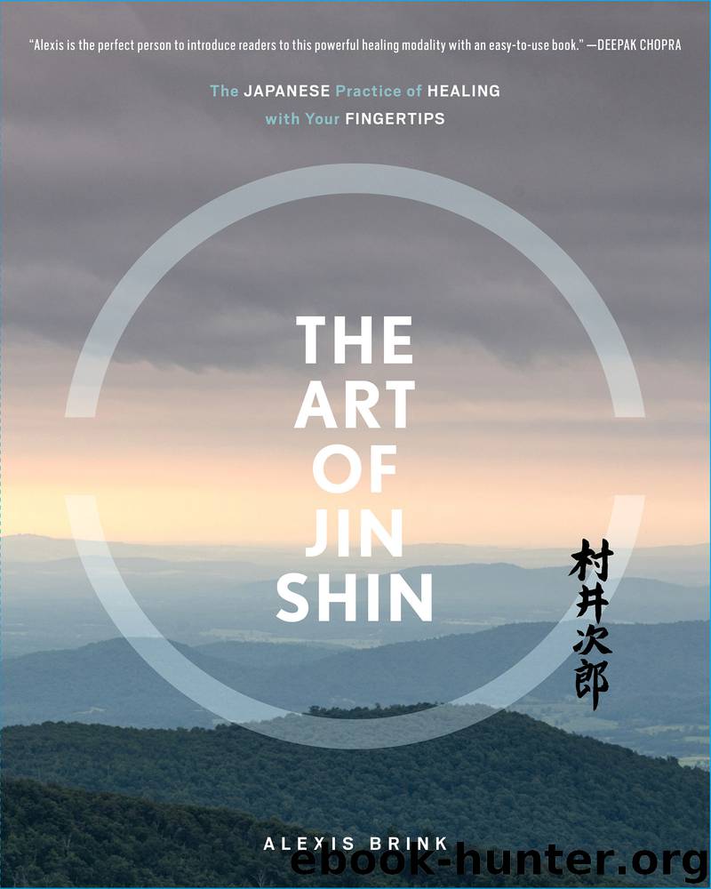 The Art of Jin Shin by Alexis Brink