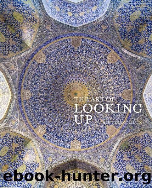 The Art of Looking Up by Catherine McCormack