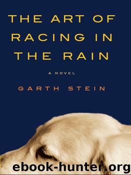 The Art of Racing in the Rain: A Novel by Garth Stein