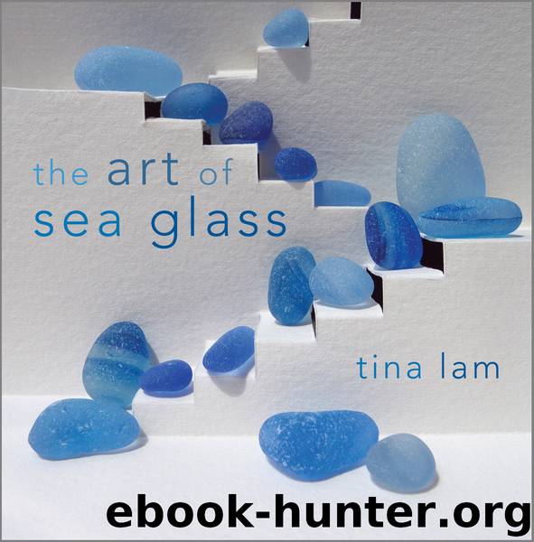 The Art of Sea Glass by Tina Lam & c.s. lambert