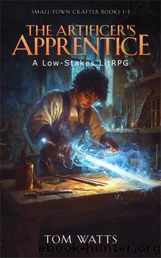 The Artificer's Apprentice: A Low-Stakes LitRPG (Small-Town Crafter Books 1 -3) by Tom Watts