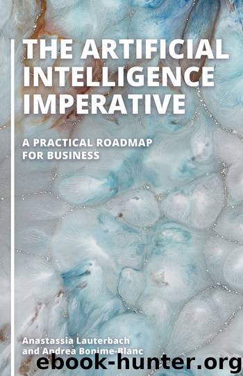 The Artificial Intelligence Imperative by Anastassia Lauterbach