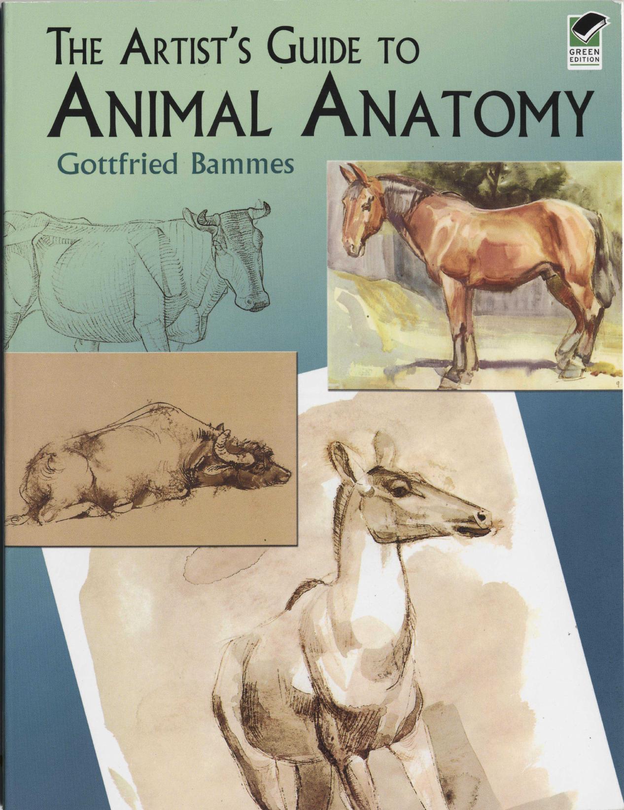 The Artist's Guide to Animal Anatomy (Repost) by Gottfried Bammes