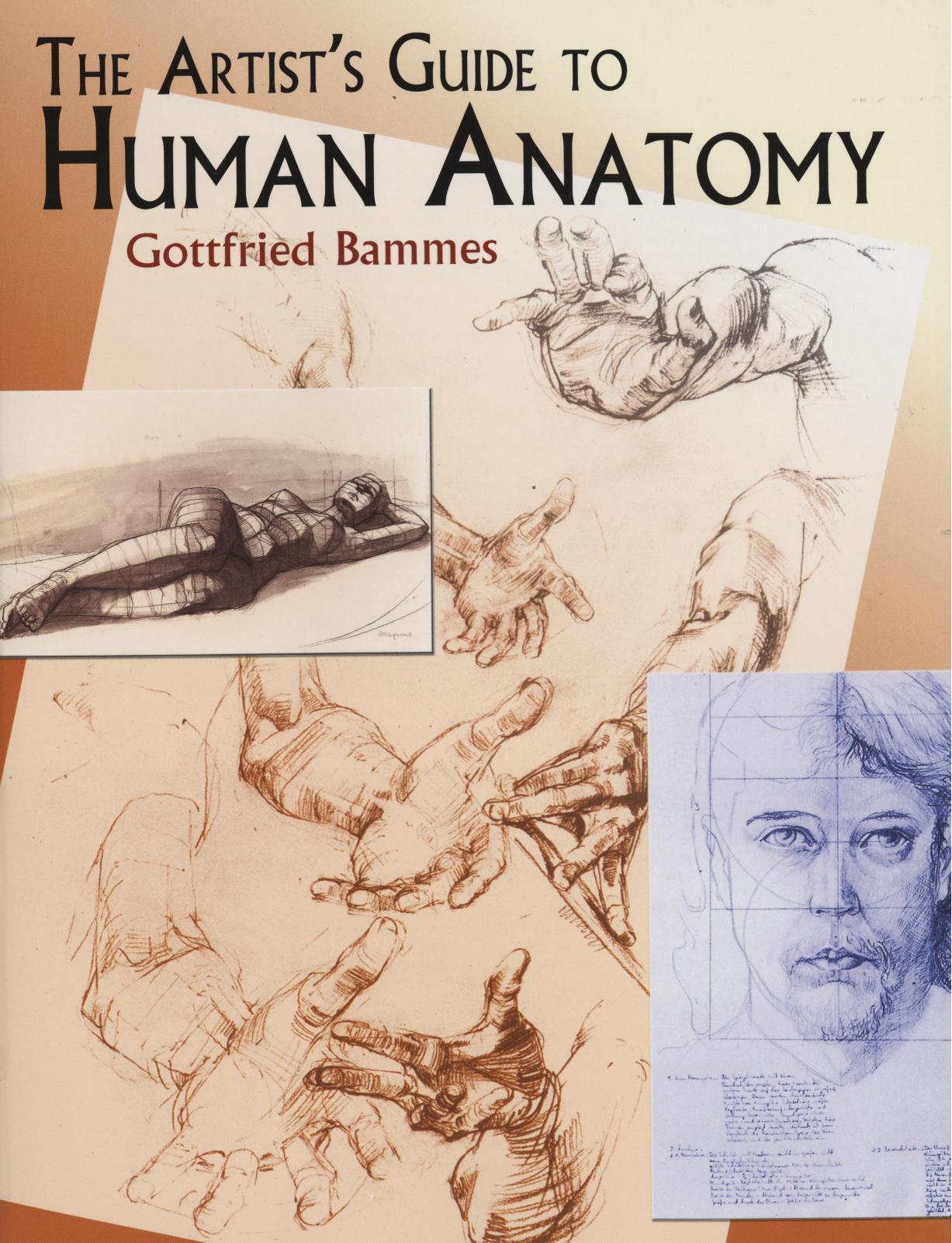 The Artist's Guide to Human Anatomy by Gottfried Bammes