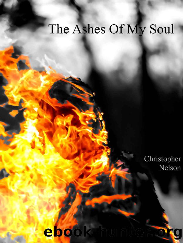 The Ashes of My Soul by Christopher Nelson