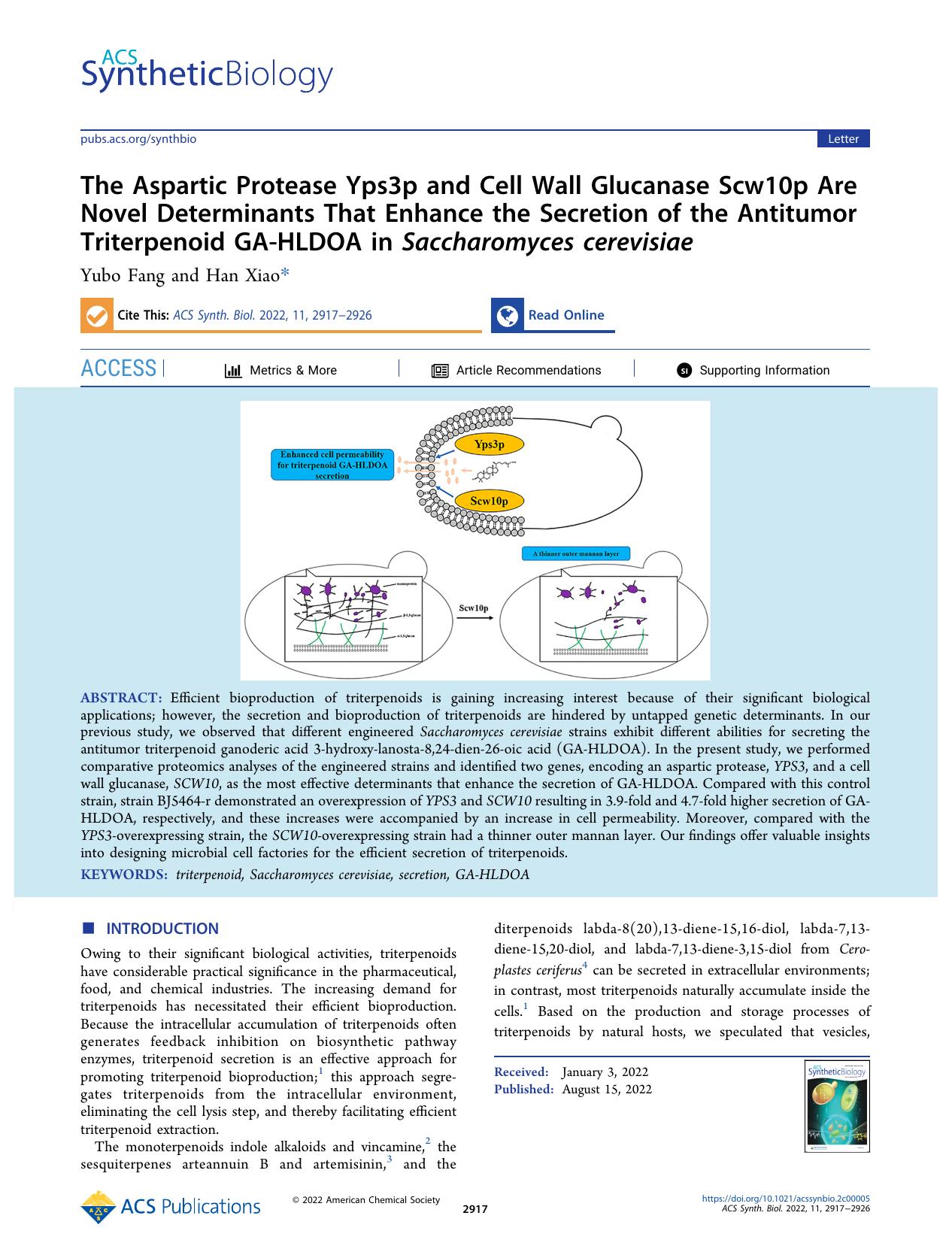 The Aspartic Protease Yps3p and Cell Wall Glucanase Scw10p Are Novel Determinants That Enhance the Secretion of the Antitumor Triterpenoid GA-HLDOA in Saccharomyces cerevisiae by Yubo Fang and Han Xiao
