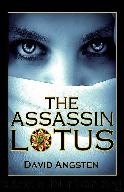 The Assassin Lotus by David Angsten