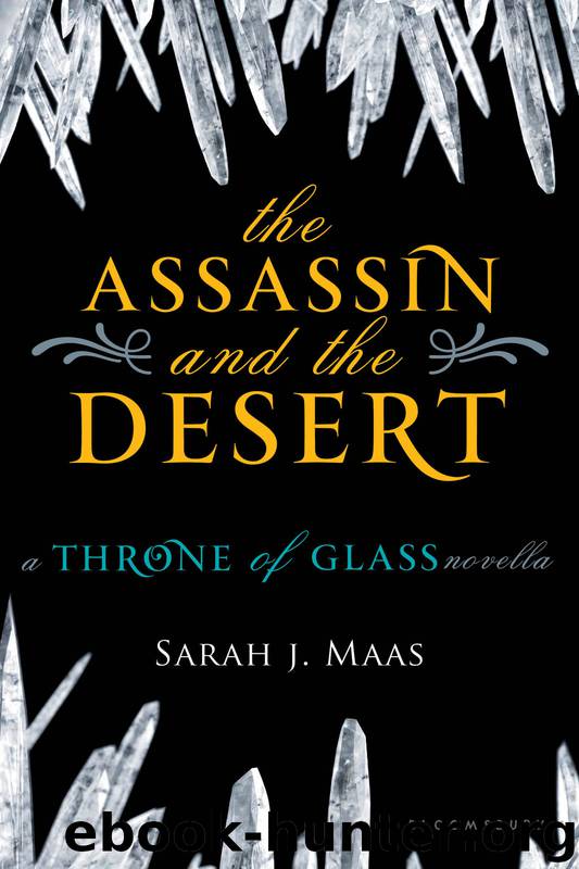 The Assassin and the Desert by Sarah J Maas