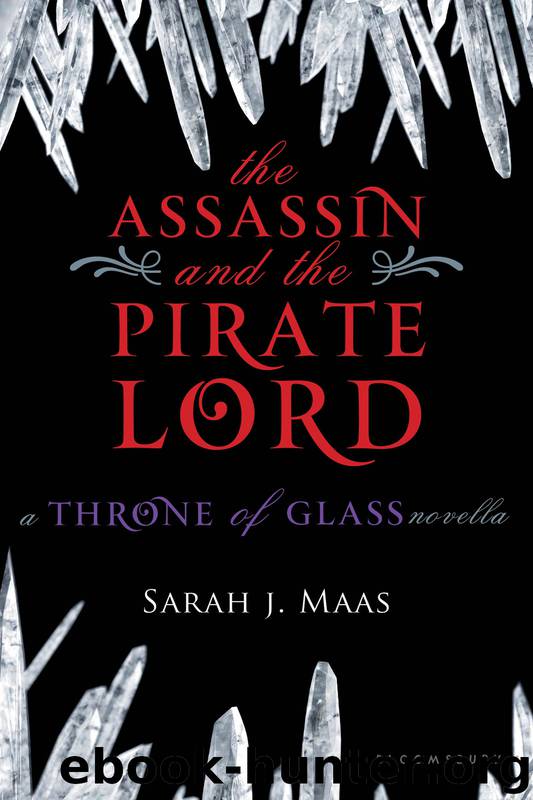 The Assassin and the Pirate Lord by Sarah J Maas