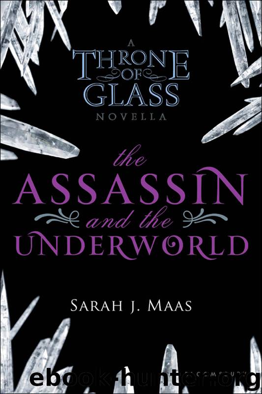 The Assassin and the Underworld by Sarah J Maas