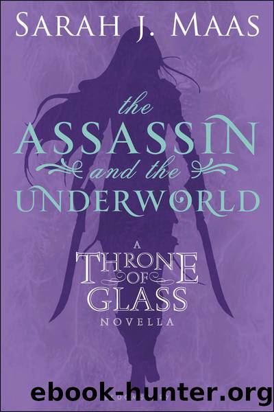 The Assassin and the Underworld: A Throne of Glass Novella (Throne of Glass series Book 1) by Sarah J. Maas