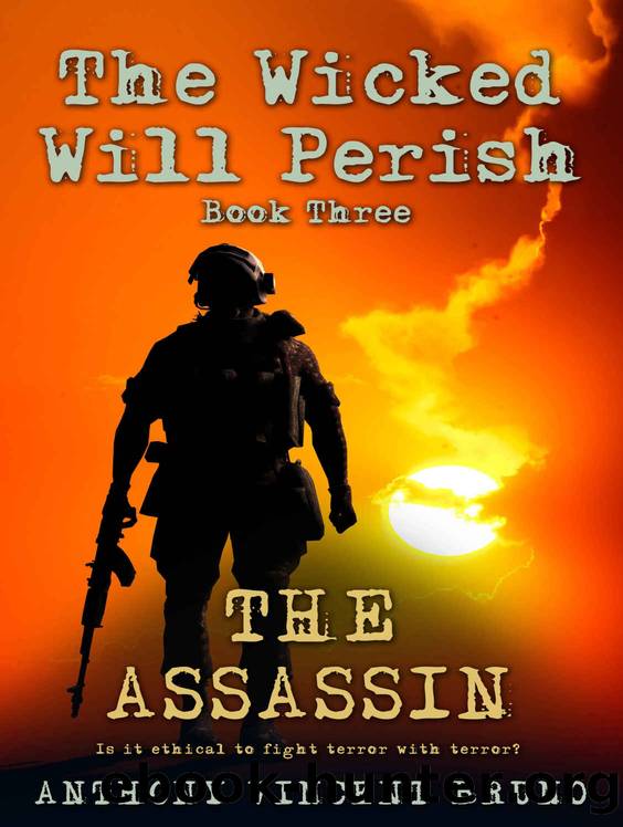 The Assassin by Anthony Vincent Bruno