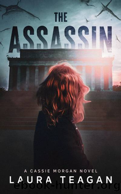 The Assassin by Laura Teagan