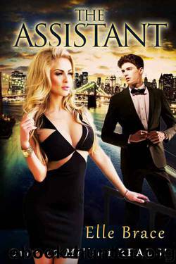 The Assistant by Elle Brace