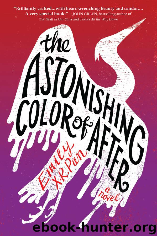 The Astonishing Color of After by Emily X.R. Pan