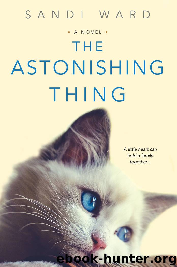 The Astonishing Thing by Sandi Ward