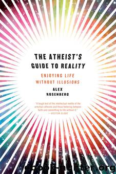The Atheist's Guide to Reality by Alex Rosenberg