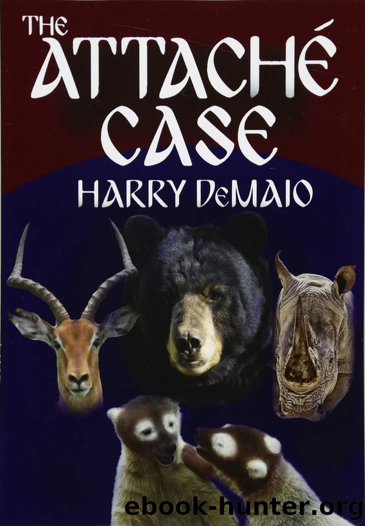 The Attache Case by Harry DeMaio