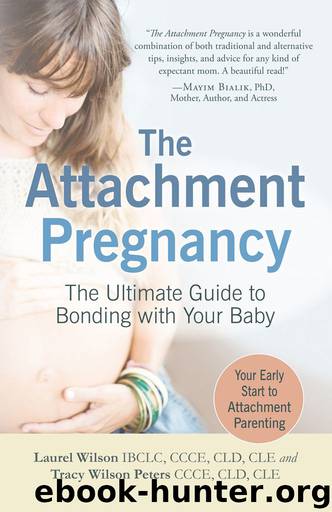 The Attachment Pregnancy by unknow