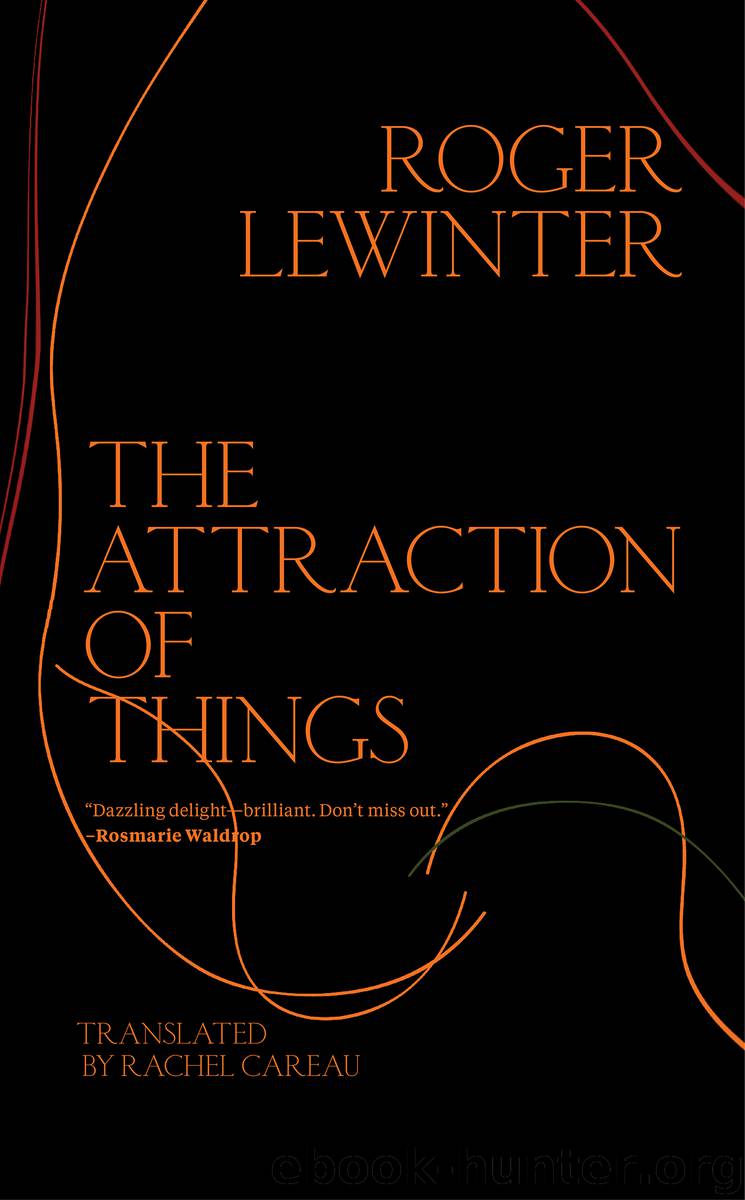 The Attraction of Things by Roger Lewinter