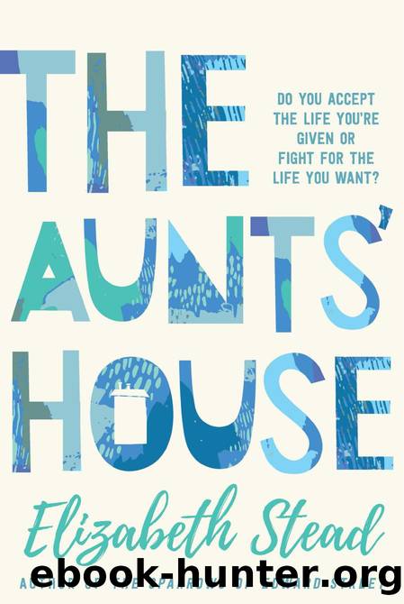 The Aunts' House by Elizabeth Stead