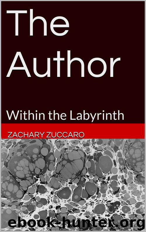 The Author: Within the Labyrinth