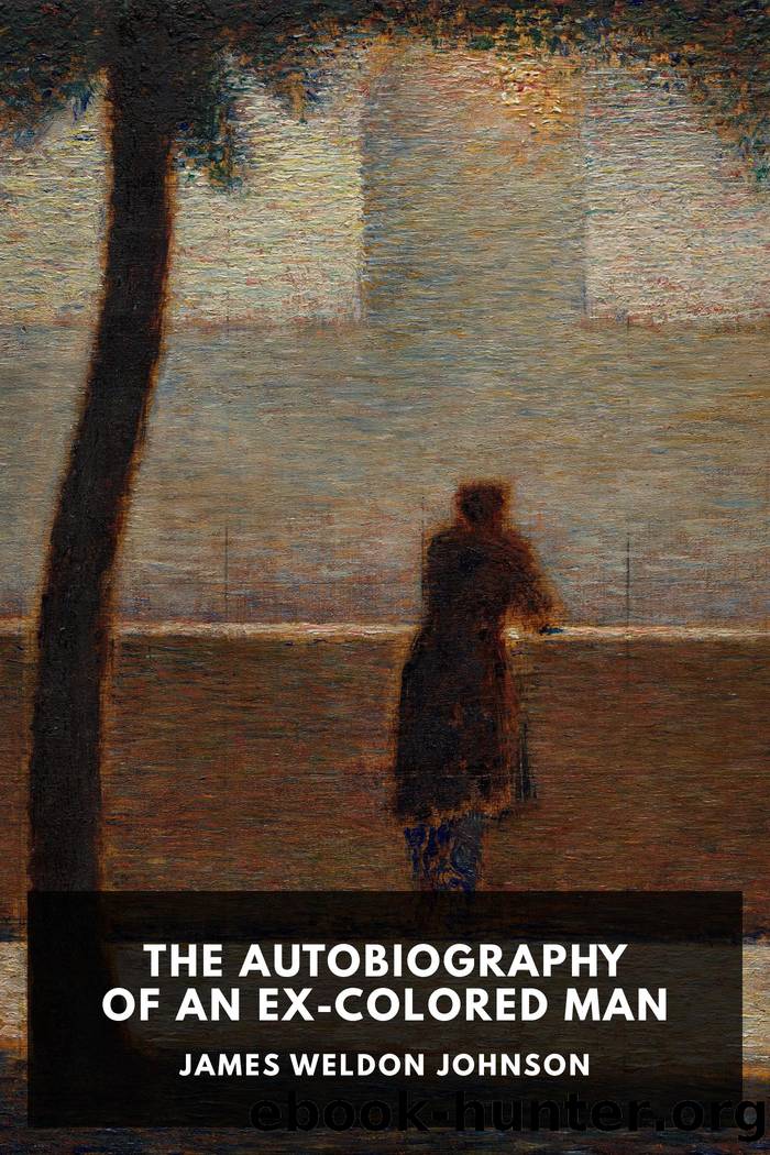 The Autobiography of an Ex-Colored Man by James Weldon Johnson