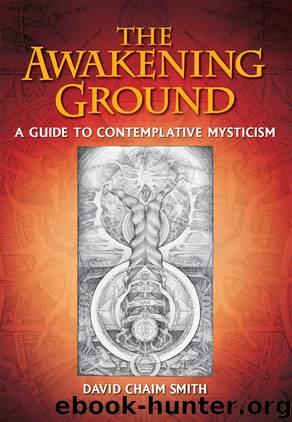 The Awakening Ground by David Chaim Smith