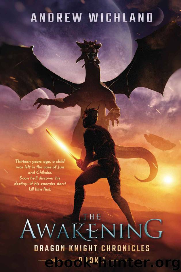 The Awakening by Andrew Wichland
