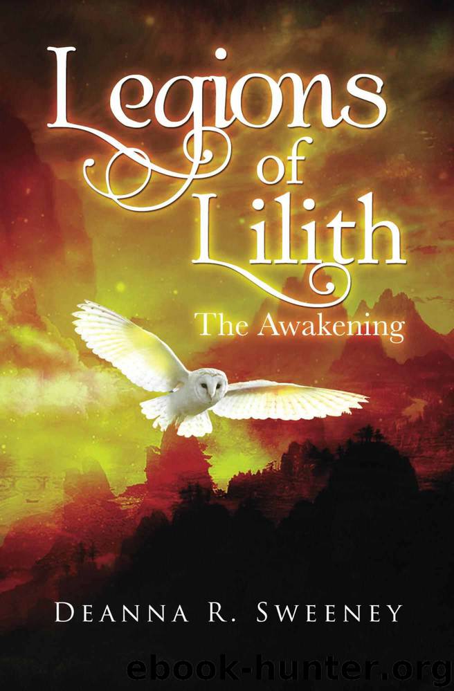 The Awakening by Deanna R Sweeney