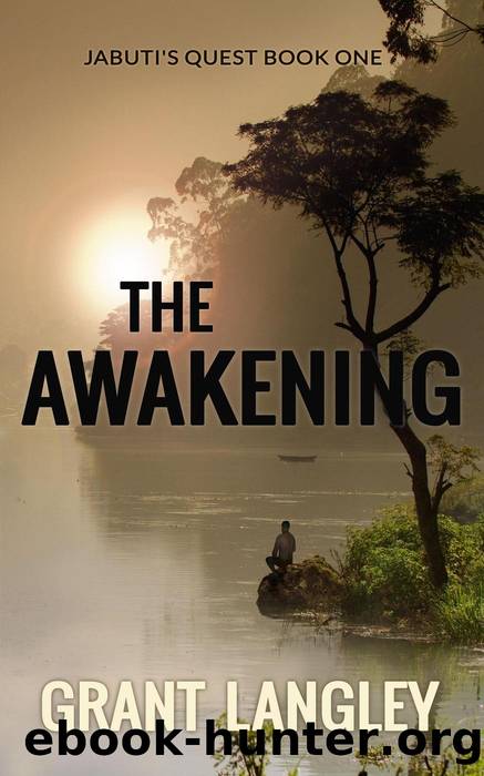 The Awakening by GRANT LANGLEY