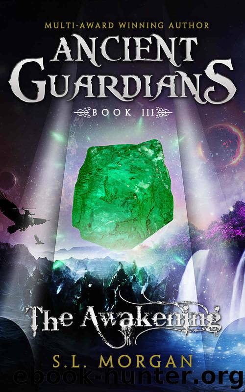 The Awakening by S.L. Morgan