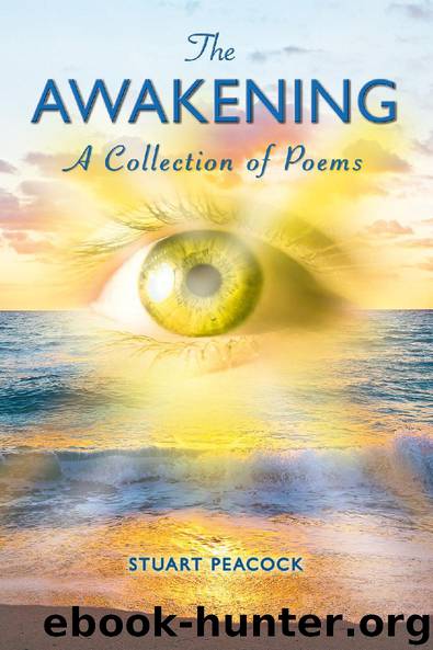 The Awakening by Stuart Peacock