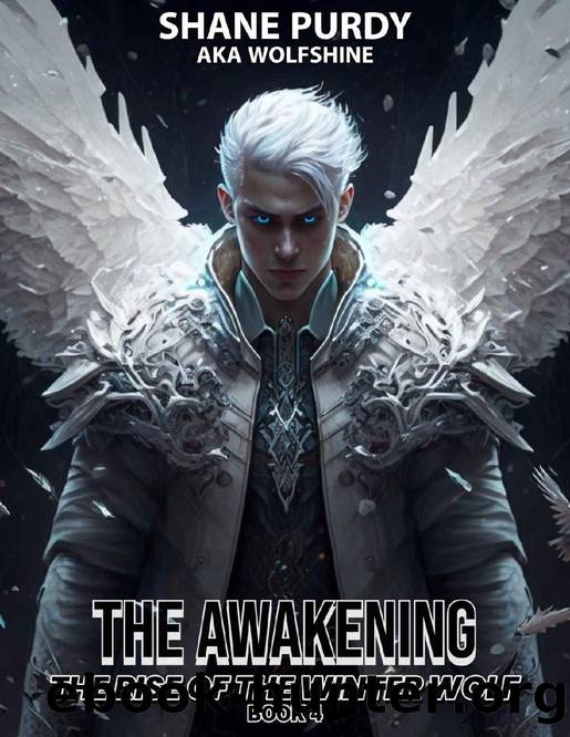The Awakening: A Livestreamed Dungeon Crawl LitRPG (The Rise of the Winter Wolf Book 4) by Shane Purdy