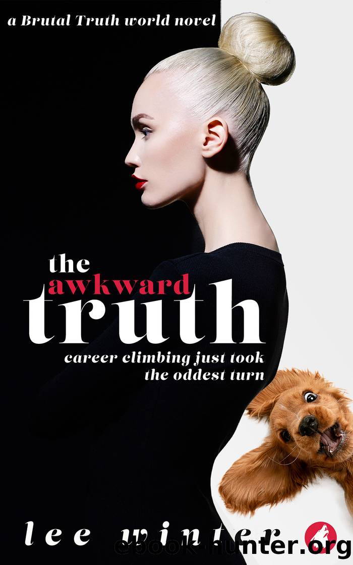 The Awkward Truth by Lee Winter