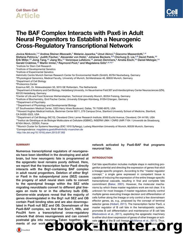 The BAF Complex Interacts with Pax6 in Adult Neural Progenitors to Establish a Neurogenic Cross-Regulatory Transcriptional Network by unknow