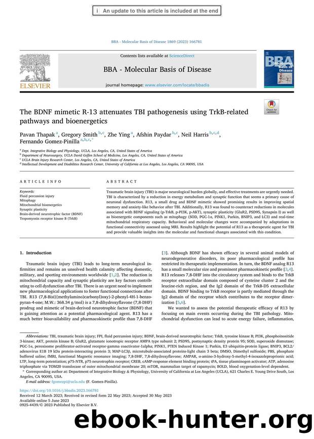 The BDNF mimetic R-13 attenuates TBI pathogenesis using TrkB-related pathways and bioenergetics by Pavan Thapak & Gregory Smith & Zhe Ying & Afshin Paydar & Neil Harris & Fernando Gomez-Pinilla
