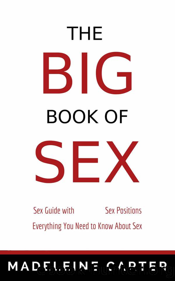 The BIG Book of SEX - Sex Guide with Sex Positions | Everything You Need to Know About Sex: Sex Positions, Sex Positions Book, Sex Books, Tantra, Kama ... Sutra and Tantra Tantric Sex Positions 2) by Madeleine Carter