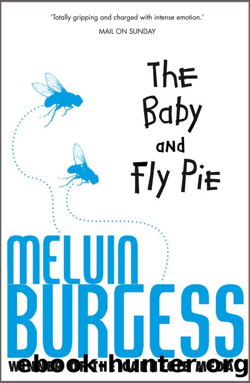 The Baby And Fly Pie by Melvin Burgess