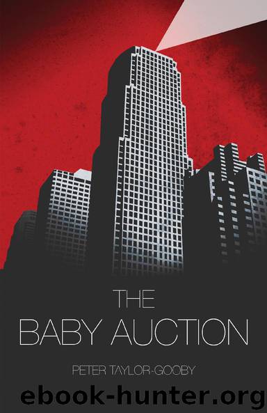 The Baby Auction by Peter Taylor-Gooby
