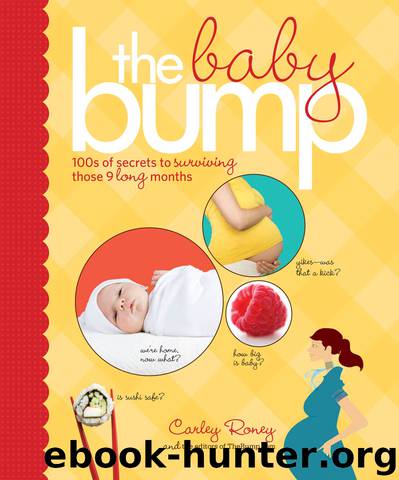 The Baby Bump by Carley Roney