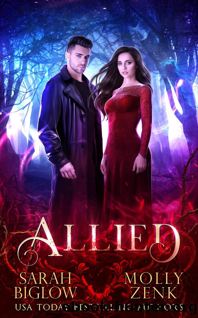 The Baby Plan: A Cozy Mystery by Kathi Daley