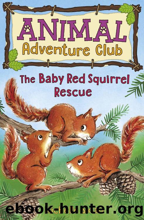 The Baby Red Squirrel Rescue (Animal Adventure Club 3) by Michelle Sloan
