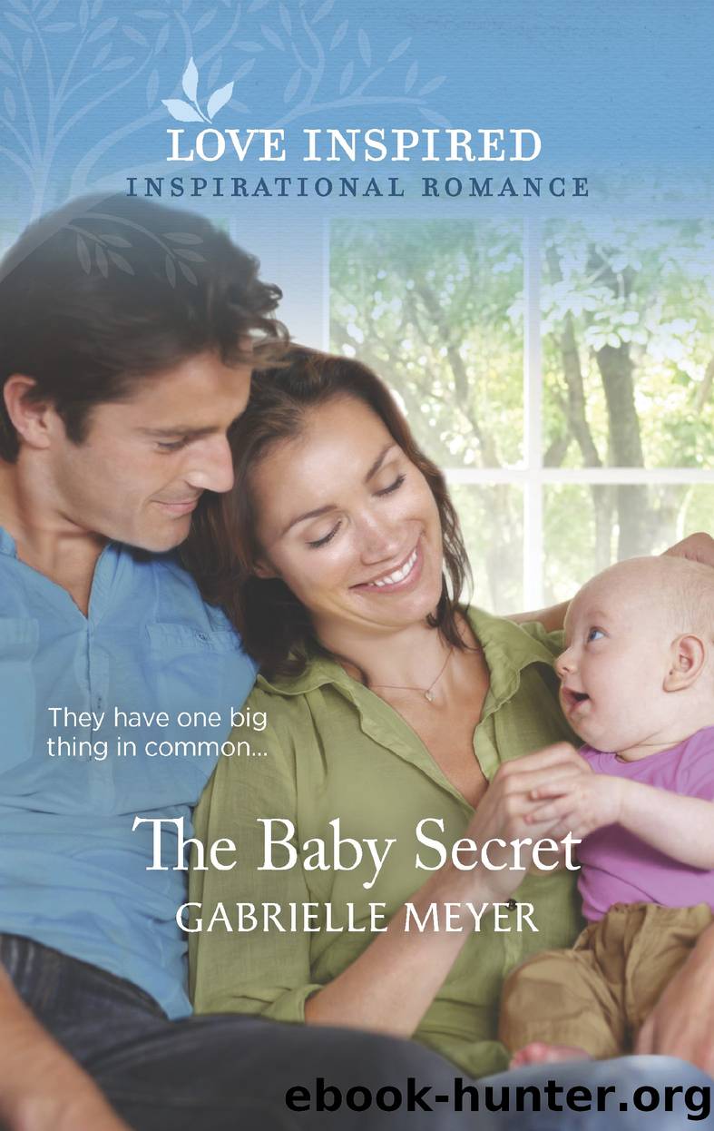 The Baby Secret by Gabrielle Meyer