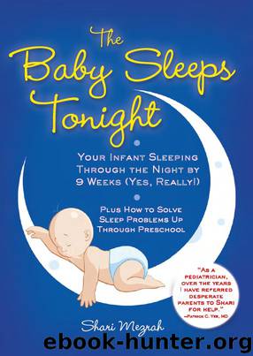 The Baby Sleeps Tonight by Shari Mezrah