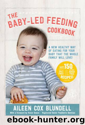 The Baby-Led Feeding Cookbook by Aileen Cox Blundell
