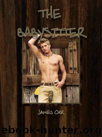 The Babysitter 2